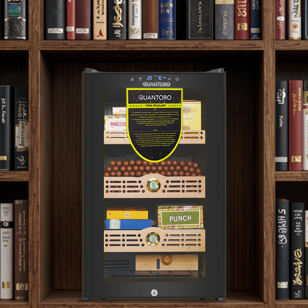 QCC-10 Kabinet Puro Dolabı